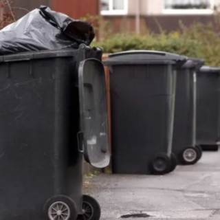 cropped-Line-of-bins.png